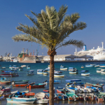 Port of Aqaba services